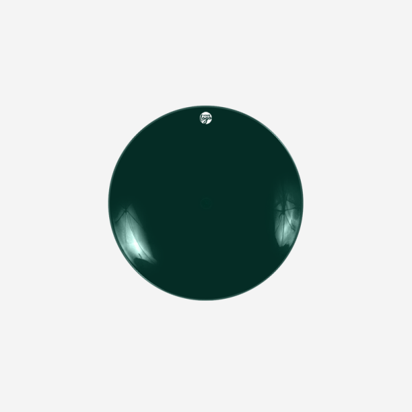 Ref 1234 Lotus Side Plate Bottle Green